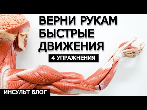 Видео: ВЕРНИ РУКАМ БЫСТРЫЕ ДВИЖЕНИЯ. 4 ПРОСТЫХ УПРАЖНЕНИЯ. 2 недели до первого результата.