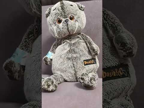 Видео: Знакомство с Басиком, Мишей и  Лили