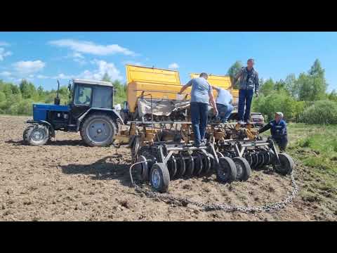 Видео: Выращивание горчицы белой в Калужской области