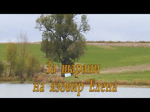 Видео: Монтажи за Шарани на дъно