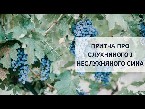 Видео: «Притча про слухняного і неслухняного сина» | Андрій Скорина