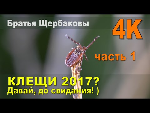 Видео: КЛЕЩИ. Надежная ХИМИЧЕСКАЯ и механическая ЗАЩИТА от клещей!