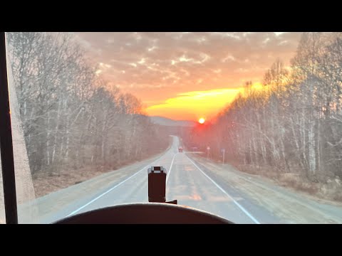 Видео: Как я ездил на восток🐕. Гололед и непогода.