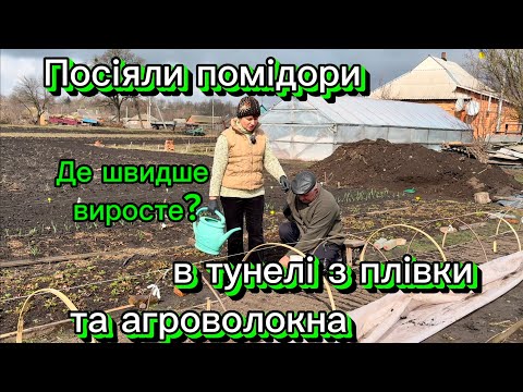 Видео: Посіяли насіння помідорів для продажу розсади в плівковий тунель та парник з агроволокна.