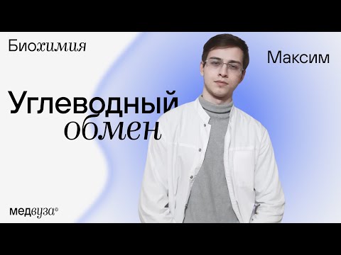 Видео: Углеводный обмен | Биохимия