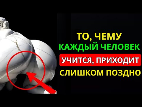 Видео: Жестокая Правда Шопенгауэра о Современной Любви | Стоицизм