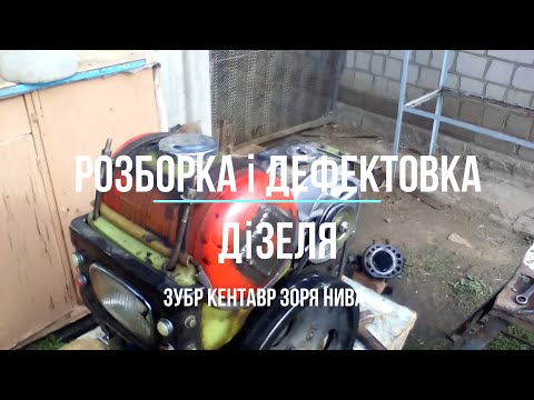 Видео: Мотоблок ; Розборка і дефектовка дизеля перед  кап. ремонтом .