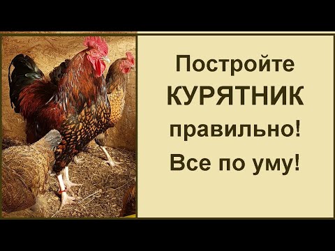 Видео: Устройство курятника. Все по уму. Практические советы от соседа. ВИДЕО