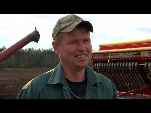 Видео: Дороги деревенские 19.05.22