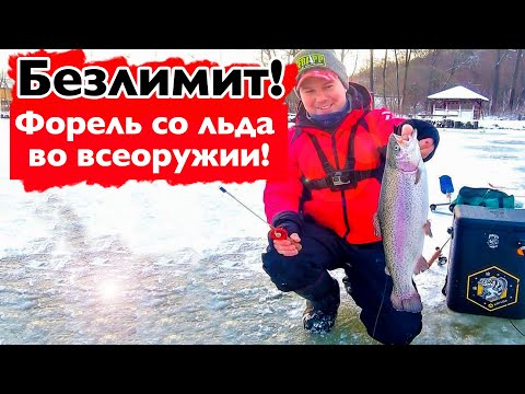 Видео: Рыбалка со льда | Форель зимой на платнике | Стратегия ловли