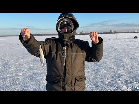 Видео: Рыбалка на корюшку в финском заливе.МОЙ ЛУЧШИЙ РЕЗУЛЬТАТ !!!