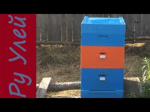 Видео: Подготовка пчел к зимовке в ульях из ППУ Ру Улей. Кормушка