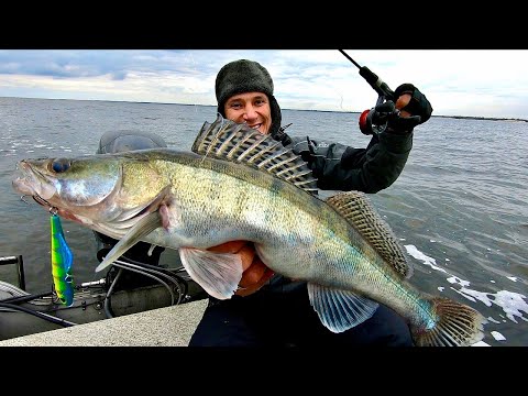 Видео: Бешеный клев судака на раттлины! Клюет один за другим! Рыбалка в отвес, на поролон и мандулы!
