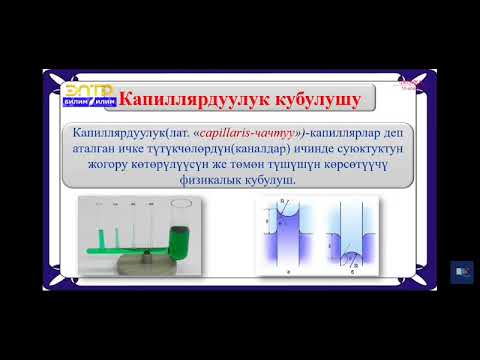 Видео: 10-класс.Нымдоо.Капиллярдуулук .Буулануу.Кайноо.Абанын нымдуулугу.