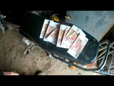 Видео: Сдали всю чагу.Заработали деньжат.