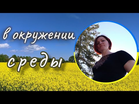 Видео: Птица с сомнительной репутацией - кукушка обыкновенная.