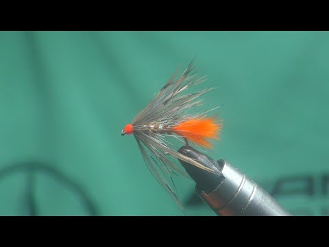 Видео: Дикая форель совершенно превзошла этот образец.