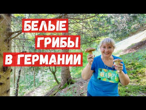 Видео: 89/Германия. Белые грибы. Пробуем самогон из скворечника. Часы с кукушкой в лесу.