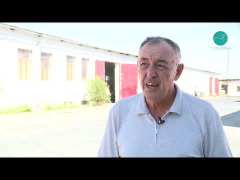 Видео: Производство корпусной мебели в Туркестане."Made in KZ" Гранд Микс. Выпуск #2