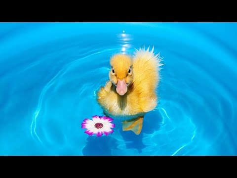 Видео: MDX-запросы: NON EMPTY и NonEmpty