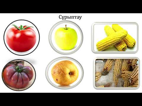 Видео: 3 сынып жаратылыстану Егіншілік қалай өзгерді? 3 тоқсан №5 сабақ
