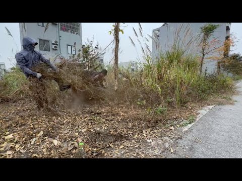 Видео: Уборка, подрезка высокой травы, превращение заросших тротуаров в красивые