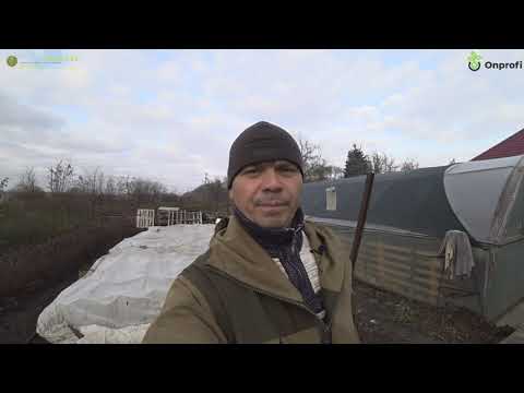 Видео: Почему розы улетают из корзины!?