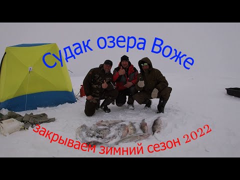 Видео: ловим судака на жерлицы.озеро Воже.закрываем зимний сезон 2022.