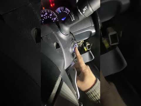 Видео: #дусяшым 