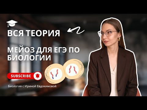 Видео: Весь МЕЙОЗ для ЕГЭ по БИОЛОГИИ | Биология с Ириной Евдокимовой