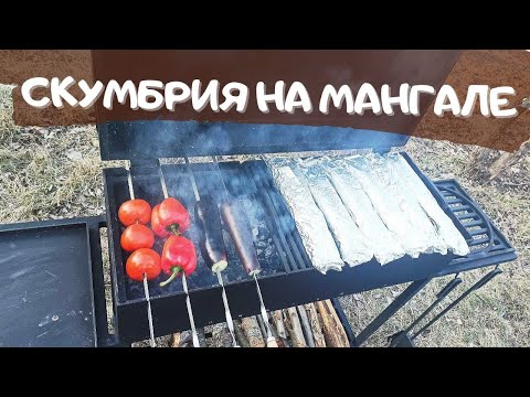 Видео: Безумно вкусная скумбрия в фольге на мангале