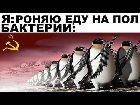 Видео: Мемы | Дневная подборка мемов 286