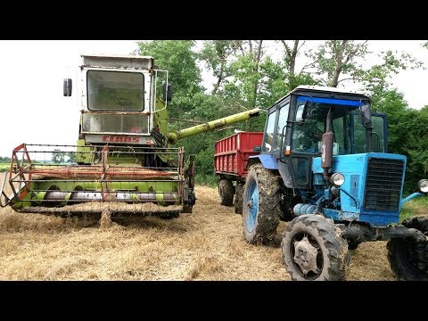 Видео: 10.07.18✔УБОРКА ЯЧМЕНЯ_КОМБАЙН CLAAS MERCATOR 60 | ВЫВОЗКА  МТЗ 82 и 2ПТС-6