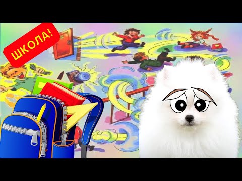 Видео: Шанельку БРОСИЛИ на УЛИЦЕ??!!