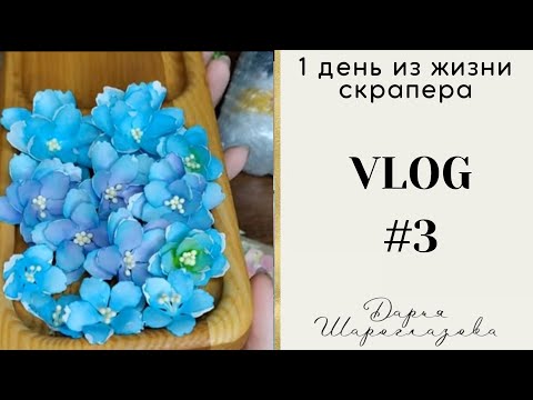 Видео: VLOG 3 / Скрапбукинг /распаковка /мастер класс