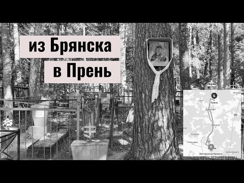 Видео: ⛳️ Жуткий пионерлагерь Юбилейный | Брянск, Думлово, Куява, Прень | лютая жесть