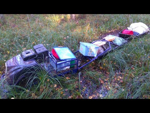 Видео: Мотособака Бурлак М и Тофалар. Болото 2017 год.