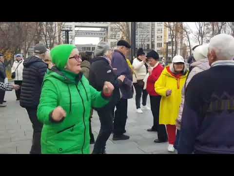 Видео: 13 ноября 2025