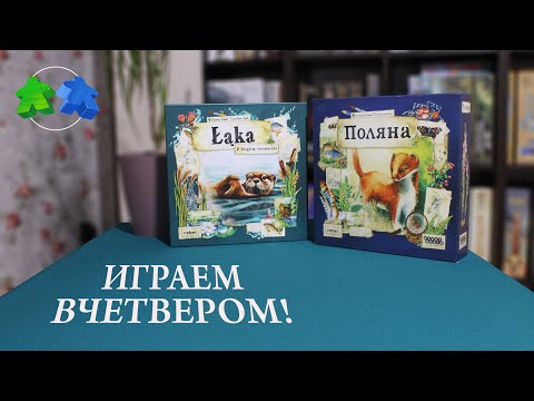 Видео: Поляна. Вниз по течению. Играем ВЧЕТВЕРОМ  в настольную игру.