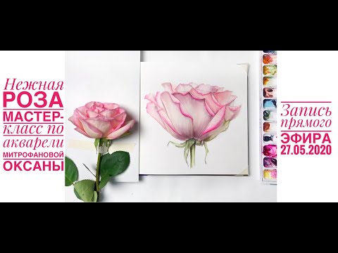 Видео: Нежная Роза. Мастер-класс по акварели Митрофановой Оксаны. Запись эфира от 27/05/2020