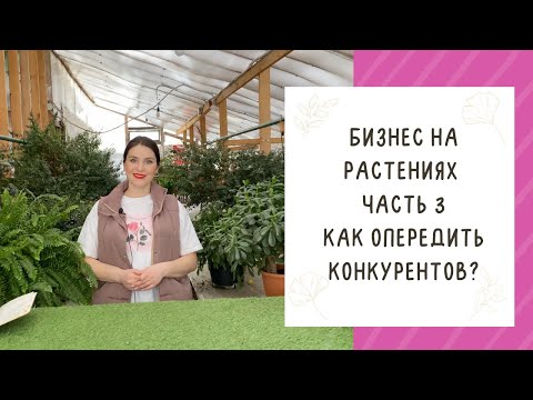 Видео: БЕЗ ЭТОГО ПОМЕЩЕНИЯ БИЗНЕС НА РАСТЕНИЯХ НЕ ПОСТРОИТЬ! ПОКАЗЫВАЮ НАШ "ТЕРМОС"