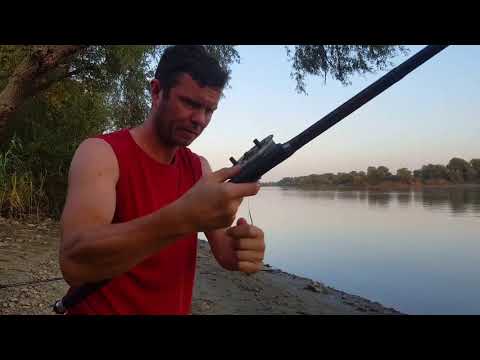 Видео: Первая рыбалка на р.Кубань. Сом (Американский) Куриная печень в действии.