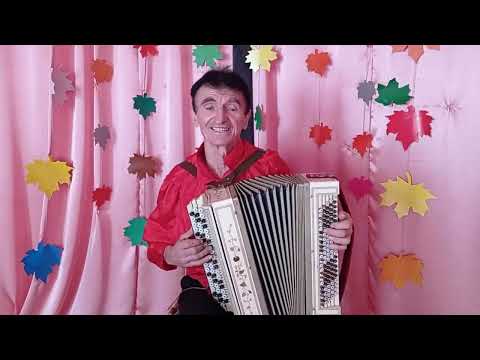 Видео: ВАСИЛЬ НЕСТЕРЕНКО  *** ЗБІРКА ПІСЕНЬ ПІД БАЯН ***