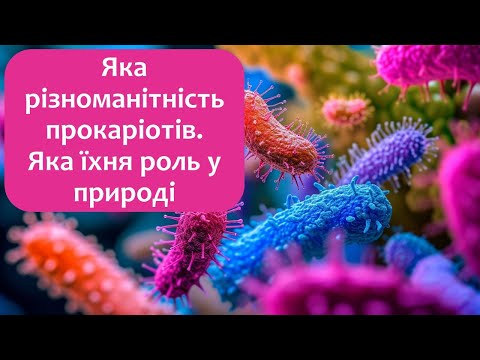 Видео: Біологія 7 клас (Балан). §8 Яка різноманітність прокаріотів. Яка їхня роль у природі