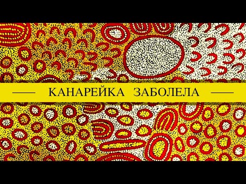 Видео: Канарейка заболела, плохо  дышит, понос, сидит на месте.  Чем помочь, как лечить?