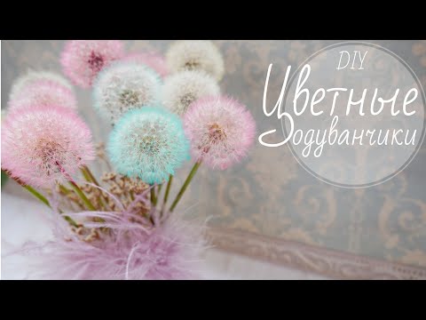 Видео: ЦВЕТНЫЕ  ОДУВАНЧИКИ / COLOURED DANDELIONS