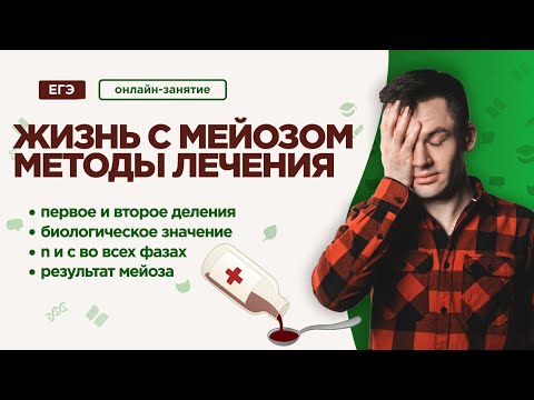 Видео: Жизнь с МЕЙОЗОМ | ЕГЭ Биология | Даниил Дарвин