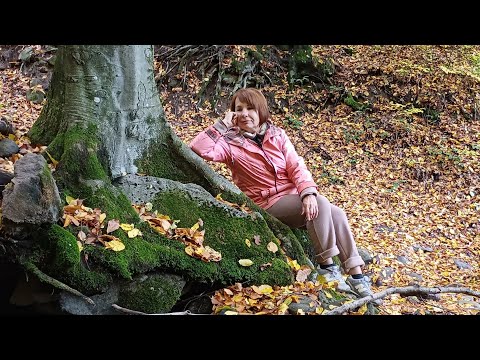 Видео: Пикник у водопада. Закарпаття, Ніреський водоспад.