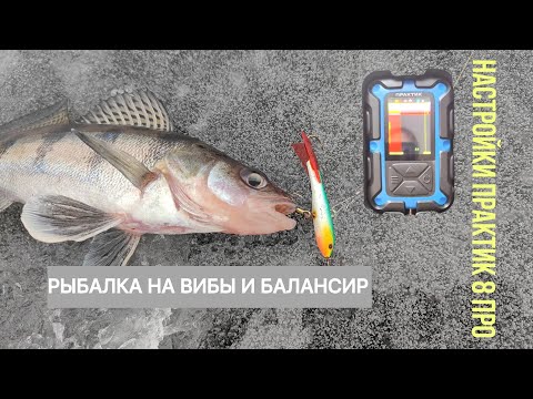 Видео: ПОИСК СУДАКА: РЫБАЛКА НА ВИБЫ И БАЛАНСИР. МОИ НАСТРОЙКИ ПРАКТИК 8 ПРО.