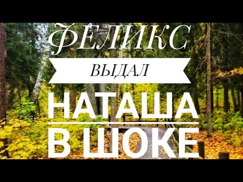 Видео: Чем Felix & the Cat удивил Наташу Пикник
